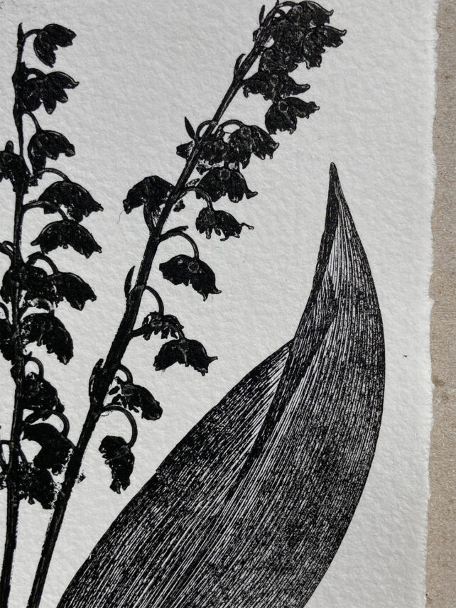 Monotype, empreinte réalisée à partir d'une vraie plante, pièce unique