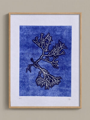 Monotype, empreinte d'une algue, pièce unique