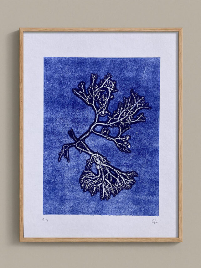 Monotype, empreinte d'une algue, pièce unique