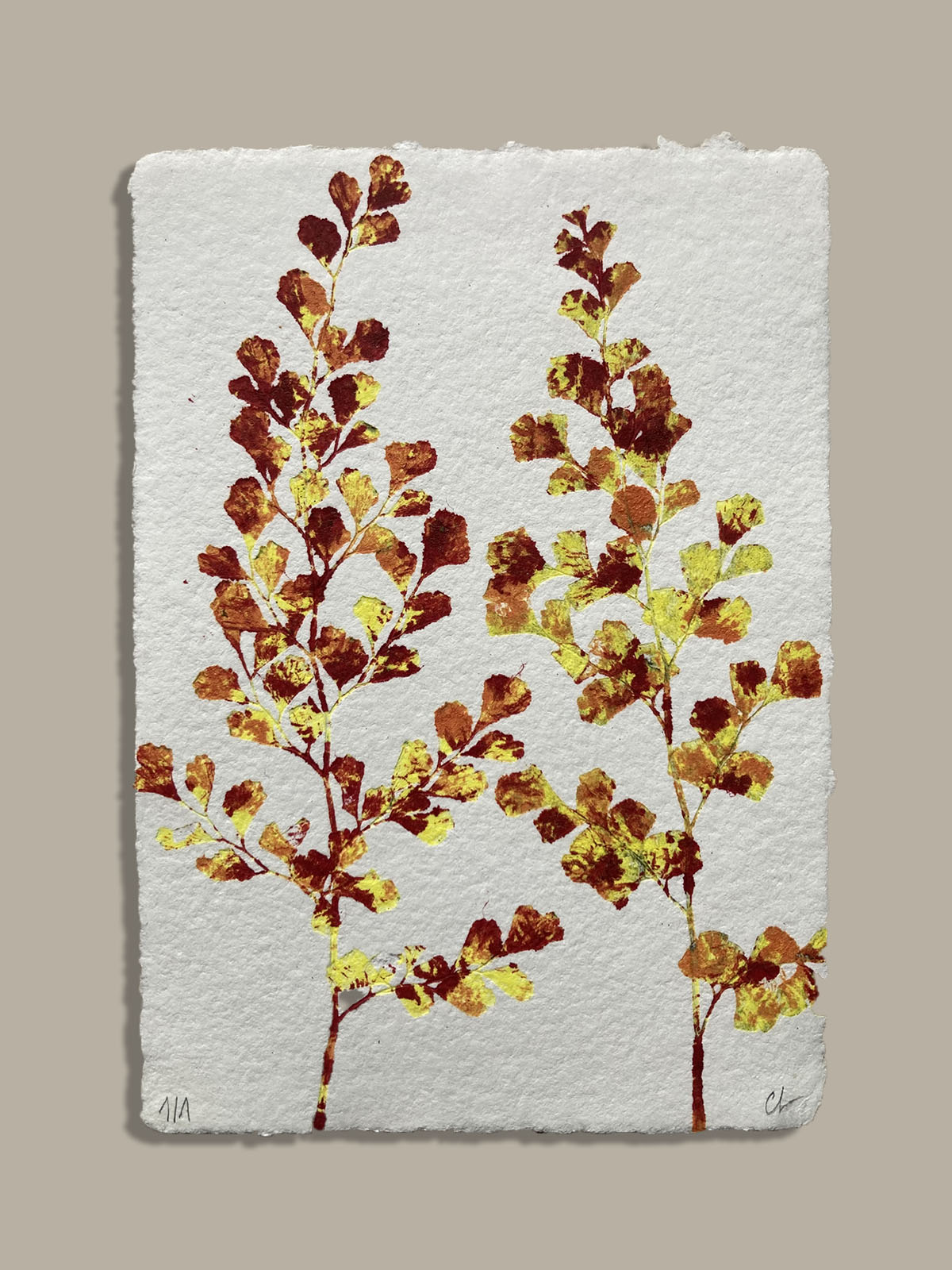 Monotype, empreinte réalisée à partir d'une vraie plante, pièce unique