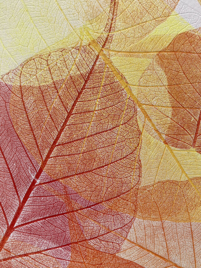 Monotype, empreinte réalisée à partir d'une vraie plante, pièce unique