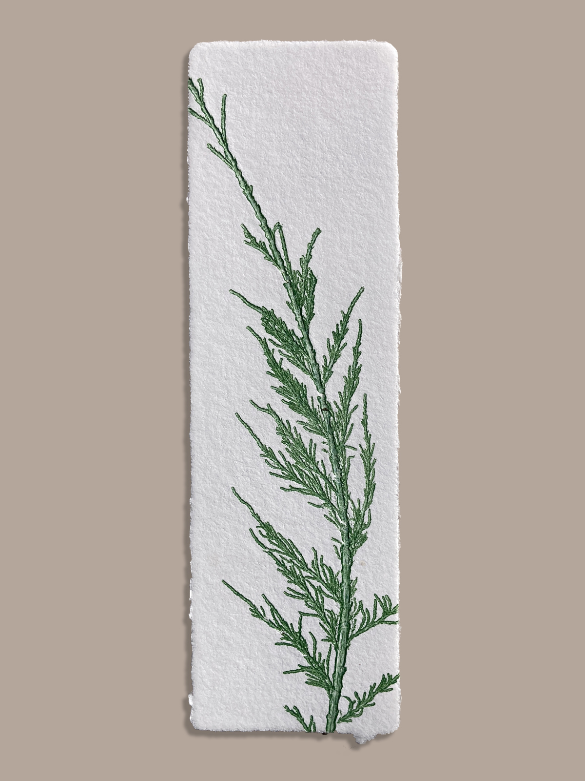 Marque-page artisanal en papier fait main avec empreinte végétale naturelle