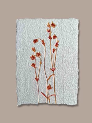 Création artisanale réalisée à partir d’une vraie plante