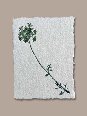 Création artisanale réalisée à partir d’une vraie plante