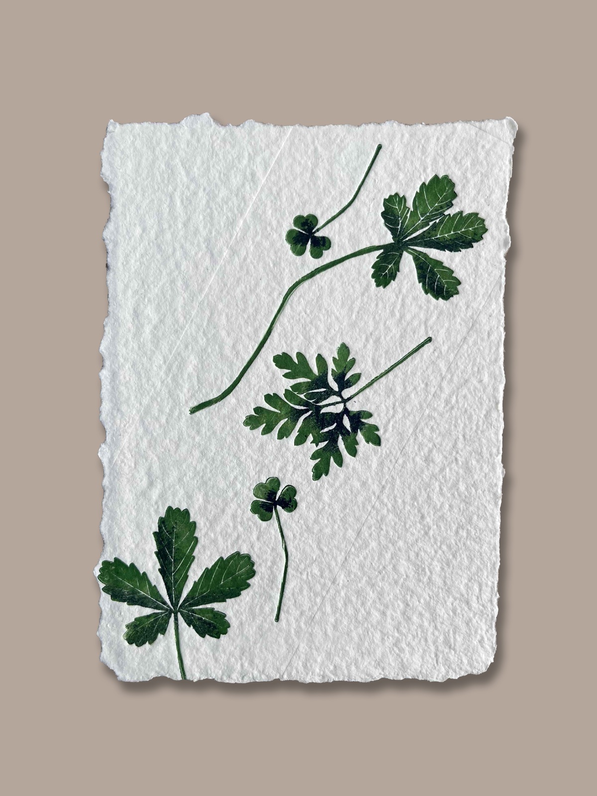 Création artisanale réalisée à partir d’une vraie plante