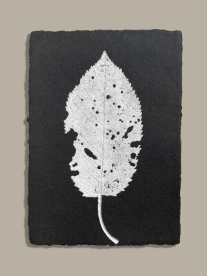 Feuille