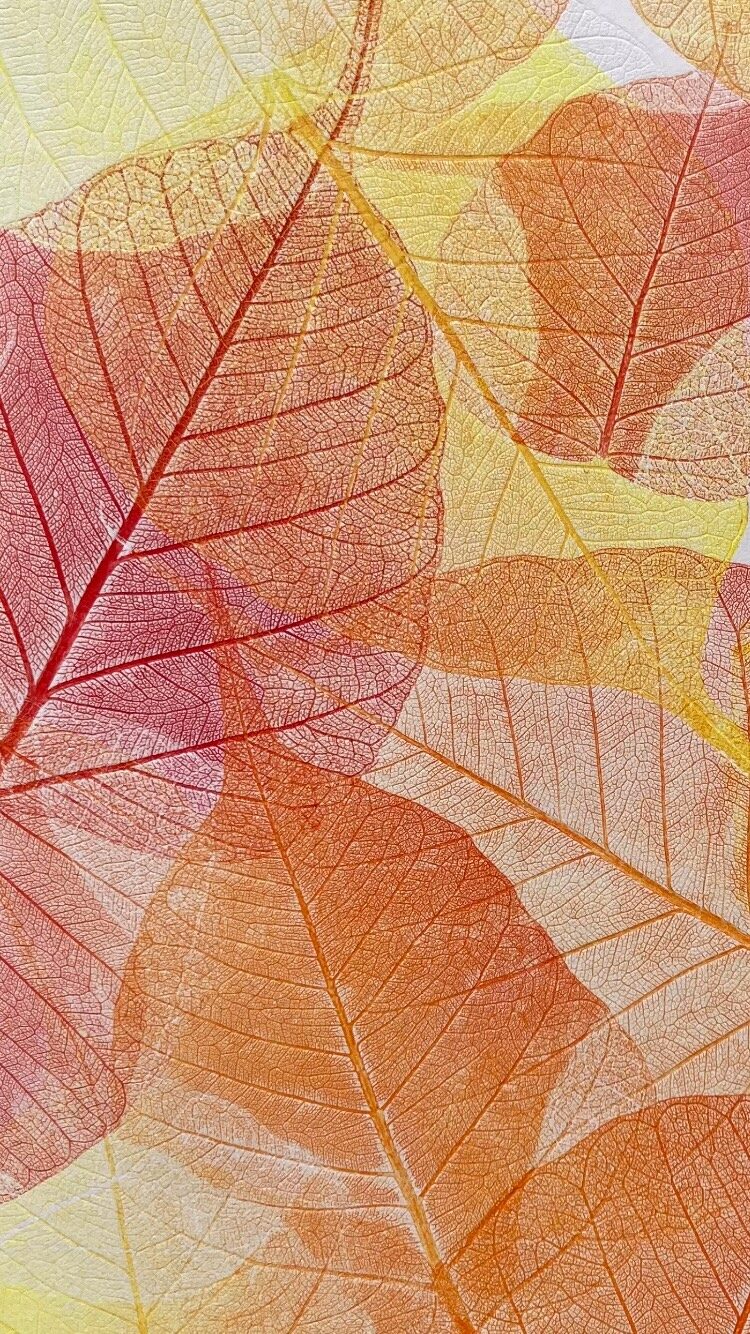 Instagram post from _en.filigrane_. This post is in position 2.