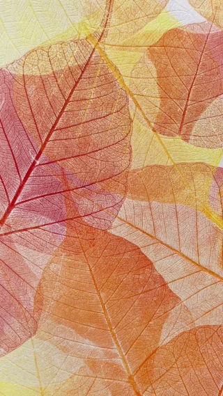 Instagram post from _en.filigrane_. This post is in position 4.