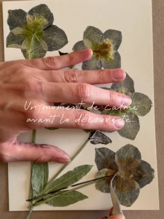 Instagram post from _en.filigrane_. This post is in position 1.