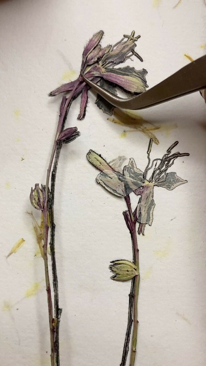 Instagram post from _en.filigrane_. This post is in position 8.